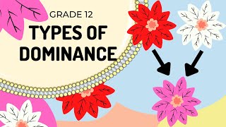 EASY TO UNDERSTAND Types of Dominance GENETICS [upl. by Eilyk]