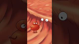 nosebleed536animation funny cartoon [upl. by Belva141]