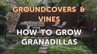 How to Grow Granadillas [upl. by Eenaej]