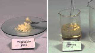 Qualitative Analysis of Oil and Fats  MeitY OLabs [upl. by Carrillo]