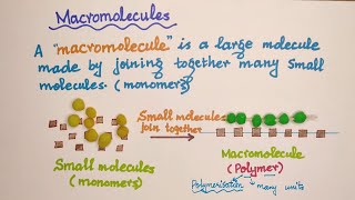 O level Chemistry  Organic Macromolecules Polymerization [upl. by Egroj305]