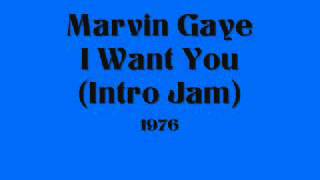 Marvin Gaye  I Want You Intro Jam [upl. by Goldy869]