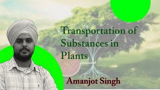 Transportation of Substances in Plants Class 7 [upl. by Cleodell]