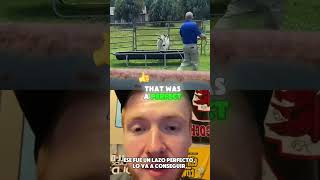 Lasso expert Comedy reaction Funny [upl. by Lletnom]