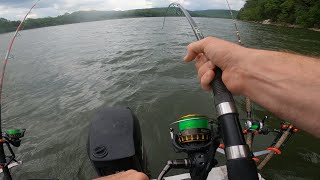 Spring Catfishing at the Guntersville Dam [upl. by Zurn]