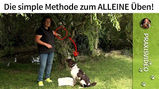 Hundeerziehung ➡️ Die simple Methode zum ALLEINE Üben ➡️ Praxisvideo ✔️ [upl. by Aleacin531]