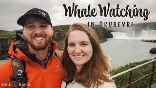 Whale Watching in Akureyri  Iceland Day 5 [upl. by Martinic]