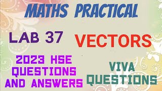 MATHS LAB 37VECTORS2023 HSE QUESTIONS AND ANSWERSVIVA QUESTIONS [upl. by John]