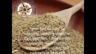 Anise Benefits And Side Effects Medical Herbs in Egypt [upl. by Sheldon430]