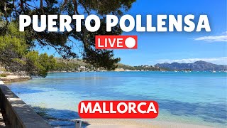 🔴LIVE in Puerto Pollensa Mallorca Majorca  15 June 2024 [upl. by Boyt]