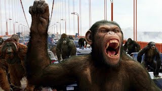 RISE OF THE PLANET OF THE APES 2011  Apes vs Humans Bridge Battle Scene HD [upl. by Vieva]