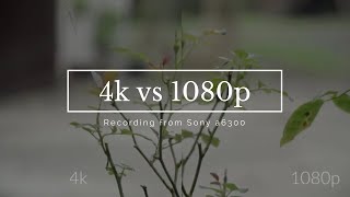 Sony a6300 Quick Sharpness Comparison  4k vs 1080p recording [upl. by Ednalrim]