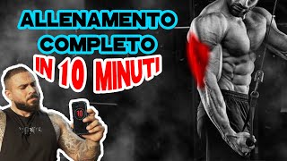 Allenamento tricipiti in soli 10 minuti  no cut [upl. by Sorilda]