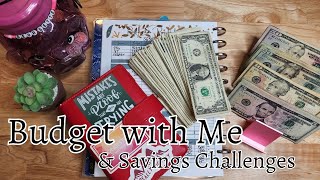 BIGGEST YouTube Paycheck EVER • Budget with Me • Savings Challenges [upl. by Notsehc]