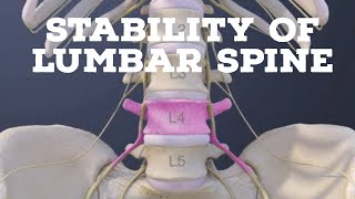 Stability of lumbar spine [upl. by Teteak]