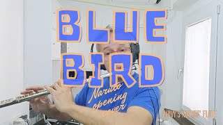 Blue Bird anime Naruto opening song by Ikimono Gakari instrumental rock Flute cover [upl. by Layap]