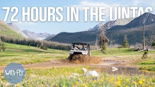 Fly Fishing the Utah Backcountry with Side x Sides [upl. by Beck]