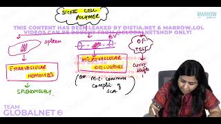 HAEMOLYTIC ANEMIA  PART 2 By Dr Illa jain khandelwal Pathology by Marrow Video Lacture [upl. by Mersey]