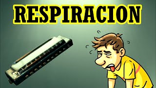 RESPIRACION EN ARMONICA  Tips para mejorar el manejo del aire [upl. by Nalehp]