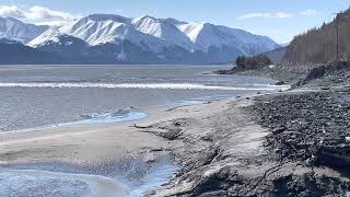 2023 Spring bore tide in Turnagain Arm Alaska [upl. by Ani]