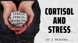 Cortisol the stress hormone in 2 mins [upl. by Notse931]