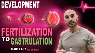 Introduction to Embryology  Fertilisation to Gastrulation Easy to Understand [upl. by Ayita]