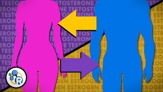 Hormones and Gender Transition [upl. by Salena]