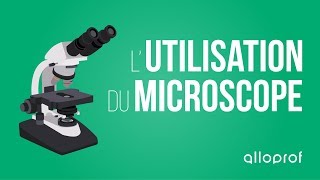 Lutilisation du microscope  Sciences  Alloprof [upl. by Arnaldo517]