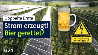 Hopfen und Solarstrom  Doppelter Gewinn  BR24 vor Ort [upl. by Annoya]