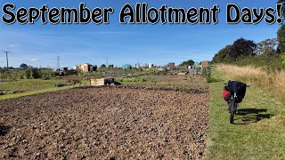 September Allotment Days allotments allotmentgardening [upl. by Nino]