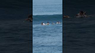 Keramas Beach Surfing Today 6 November 2024 surfing balisurf [upl. by Hertz972]