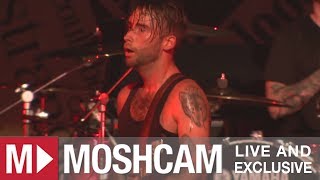 Alexisonfire  No Transitory  Sydney Farewell Show  Moshcam [upl. by Zil928]