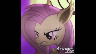 FLUTTERBAT EDIT [upl. by Binah502]