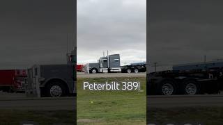 Sweet Peterbilt 389 strollin through Kindersley [upl. by Nesila]