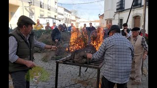 Despiece del Cerdo en la Fiesta de la Matanza de Alcaracejos [upl. by Annaj]