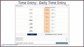 Time Entry for Providers [upl. by Dust]