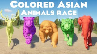 Colored Asian Animals Races in Planet Zoo included Bengal Tiger Indian Elephant Orangutan amp etc [upl. by Eunice]