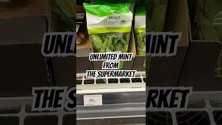 A lifetime supply of mint from a single packet [upl. by Etem611]