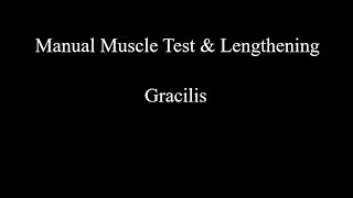 Manual Muscle Test amp Lengthening  Gracilis [upl. by Alig]