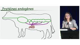 Maximiser lutilisation de lazote des vaches laitières [upl. by Arika]