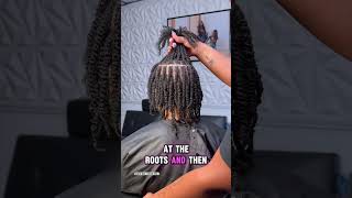 Starter locs 2 strand twist method starterlocs 2strandtwist [upl. by Dumm]