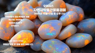 오아시스자연사박물관물품경매2024년 10월 12일토오후2시10월탄생석오팔투어멀린루비에메랄드비취옥조각품천연광물골동품경매옥돌Octoberbirthstone [upl. by Oliver]