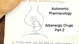 The Ultimate Guide to Adrenergic Drugs  part 2  Sympathomimetics [upl. by Savitt]