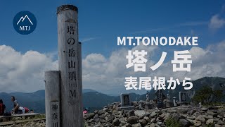 丹沢 塔ノ岳 表尾根から｜ヤビツ峠－岳ノ台－二ノ塔－三ノ塔－塔ノ岳【登山・日帰り・車・2022年7月25日】神奈川県 google earth proTanzawa Mountains [upl. by Yeh643]