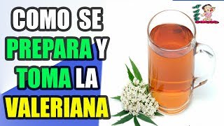 Cómo Se Prepara Y Cómo Se Toma La Valeriana Como Planta Medicinal [upl. by Iliram]