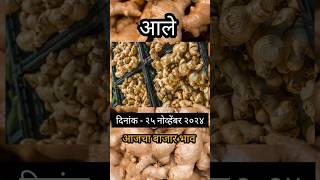 Ajche ale bajar bhavआजचे आद्रक बाजार भावginger priceadrak आलेबाजारभाव आले आलेबाजार [upl. by Eifos]