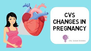 Cardiovascular Changes in Pregnancy [upl. by Zebada115]