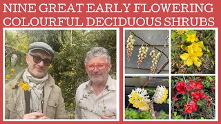 Nine brilliant early flowering deciduous shrubs that are the heralds of spring [upl. by Adlesirc457]