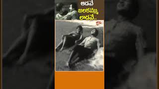 ఆడవే జలకమ్ములాడవే Aadave jalakammuladave Song  Vichitra Kutumbam Movie Shorts youtubeshorts [upl. by Yeoj]