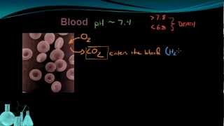 Chemistry 127 Buffers [upl. by Argela]